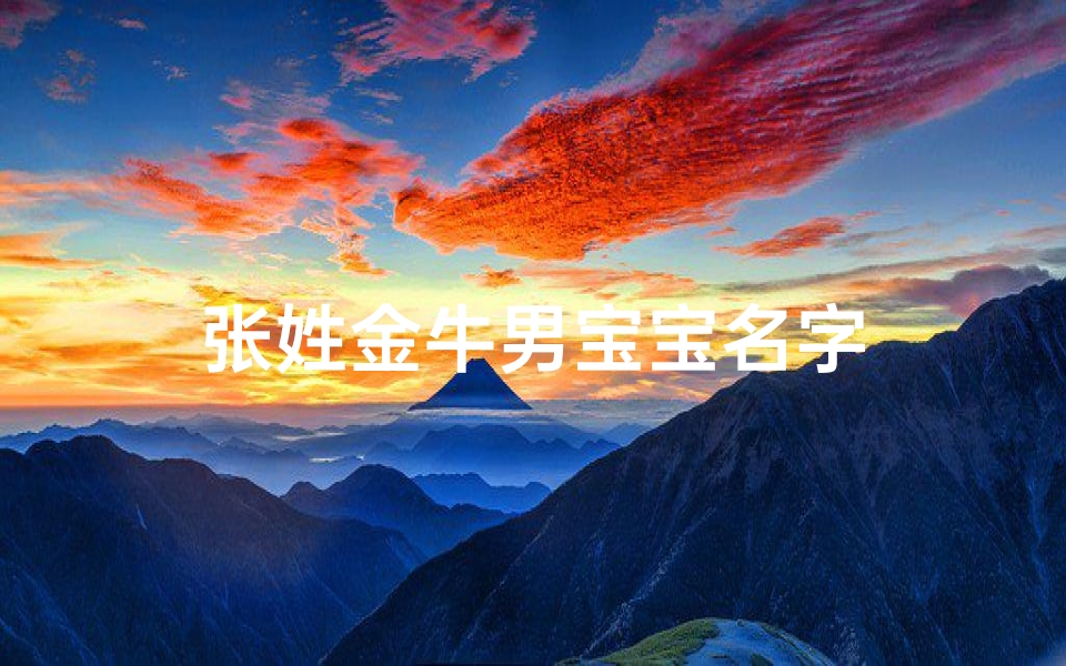 张姓金牛男宝宝名字