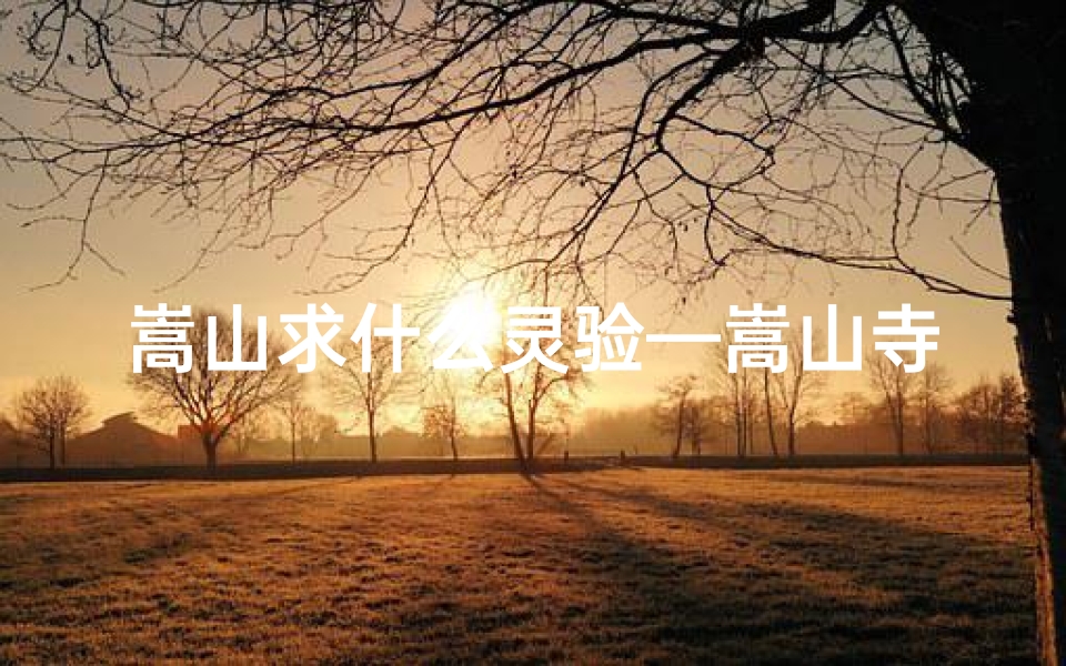 嵩山求什么灵验—嵩山寺庙求签攻略:如何正确求签?