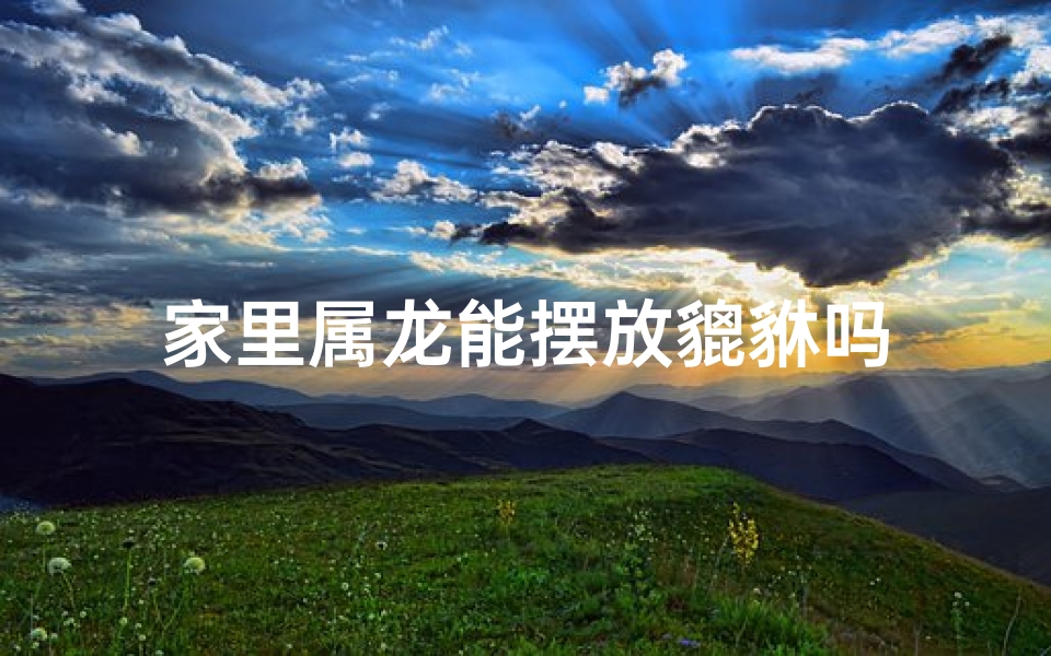 家里属龙能摆放貔貅吗