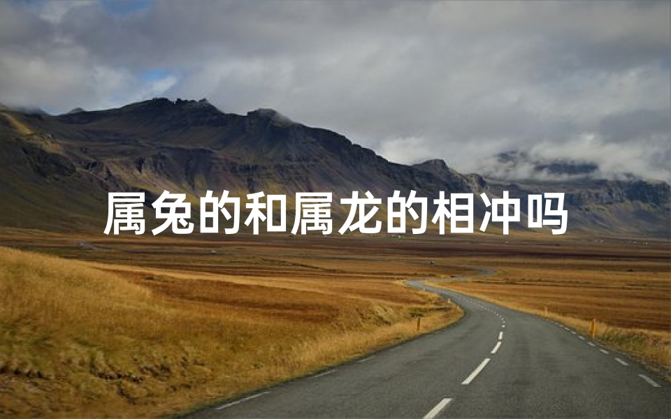 属兔的和属龙的相冲吗