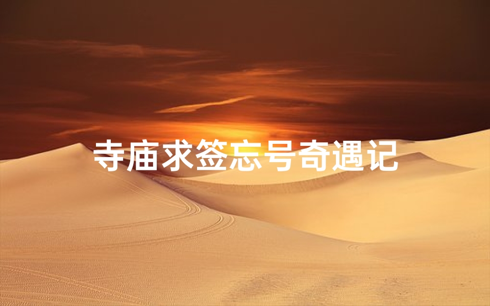 寺庙求签忘号奇遇记