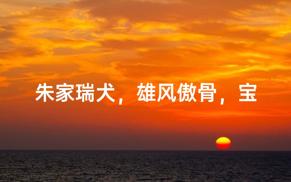 朱家瑞犬,雄风傲骨,宝宝英名传千里