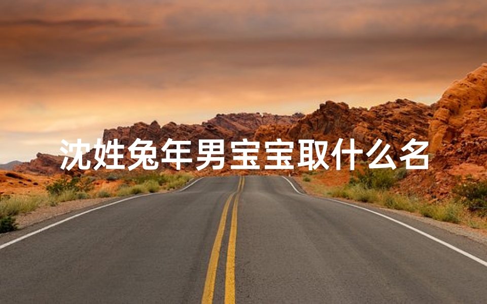 沈姓兔年男宝宝取什么名字好—《沈姓兔年男宝宝,取个吉祥好名字》
