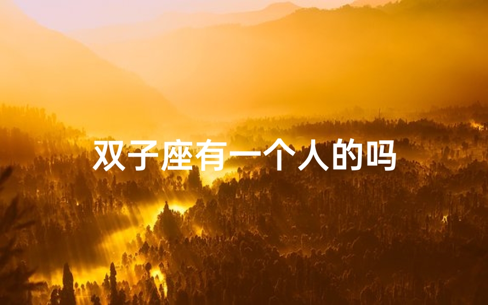 双子座有一个人的吗