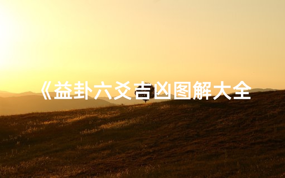 《益卦六爻吉凶图解大全解析》