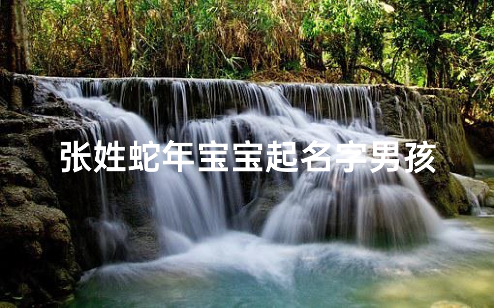 张姓蛇年宝宝起名字男孩