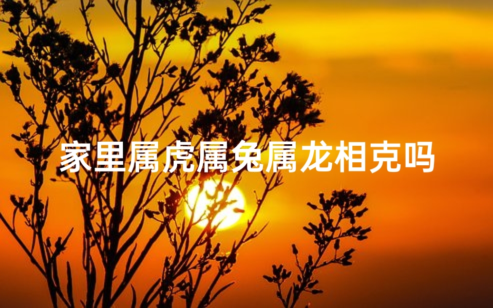家里属虎属兔属龙相克吗-属虎属兔属龙相克之谜:揭秘家庭关系之谜