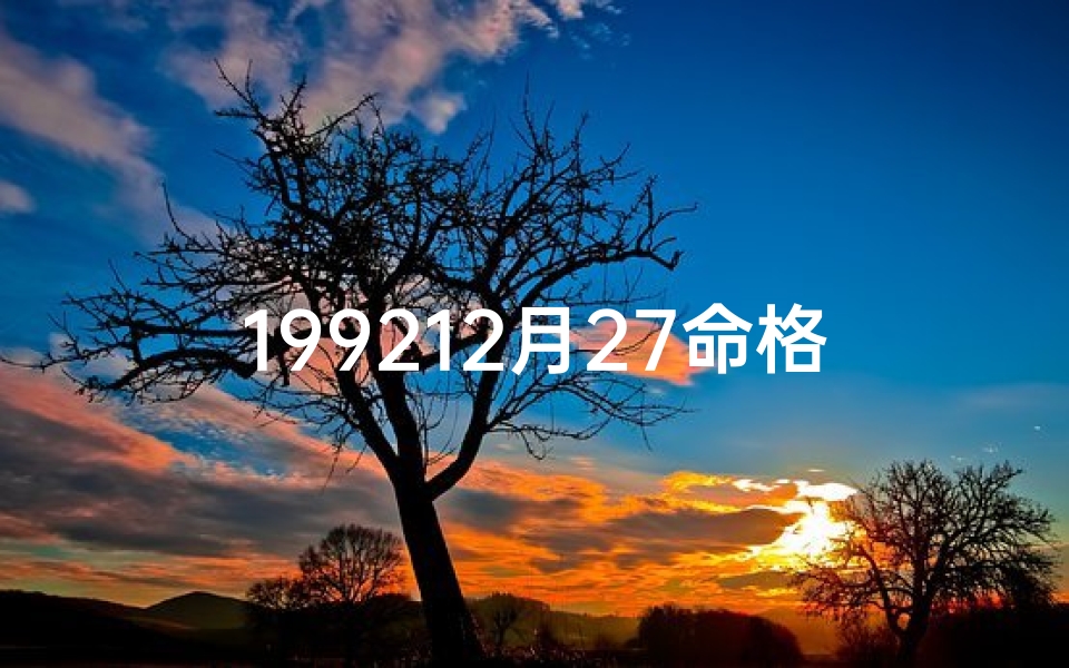 199212月27命格-1992年12月27日多大