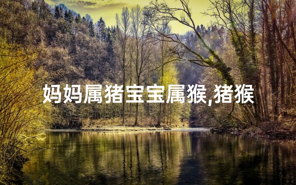妈妈属猪宝宝属猴,猪猴组合龙马家,温馨团圆乐融融