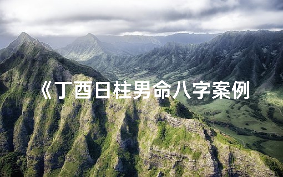 《丁酉日柱男命八字案例分析:命运轨迹解析》