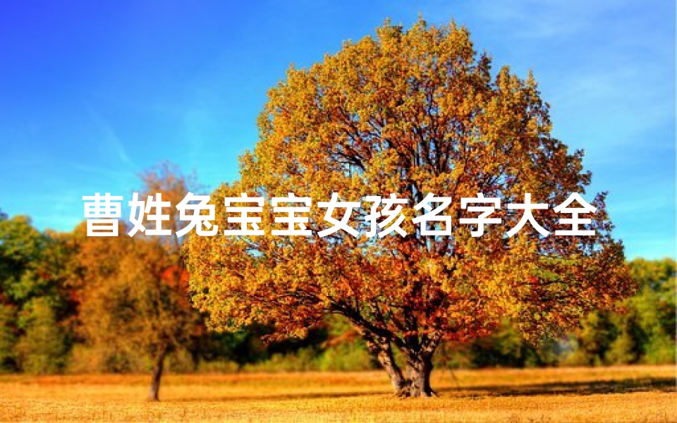 曹姓兔宝宝女孩名字大全
