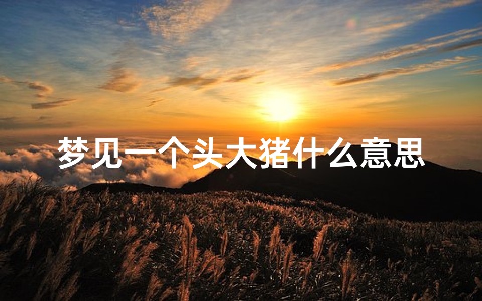 梦见一个头大猪什么意思—梦到一大头猪-海瑞算卦网