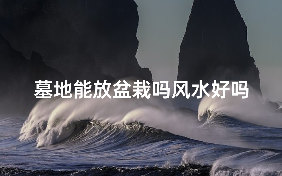 墓地能放盆栽吗风水好吗,墓地能放盆栽吗风水好吗图片