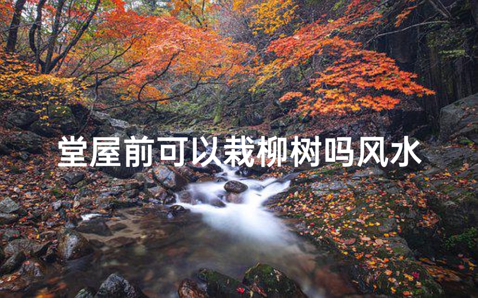 堂屋前可以栽柳树吗风水,堂屋前栽柳树风水宜忌解析