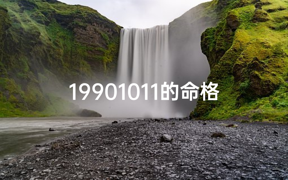 19901011的命格—19901014是什么命