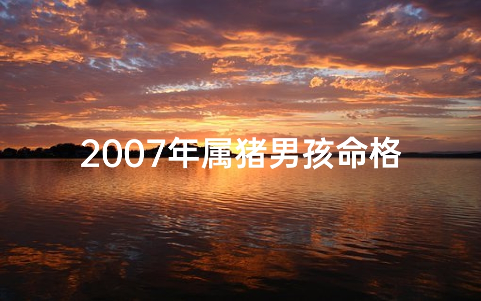 2007年属猪男孩命格揭秘:运势与性格大解析