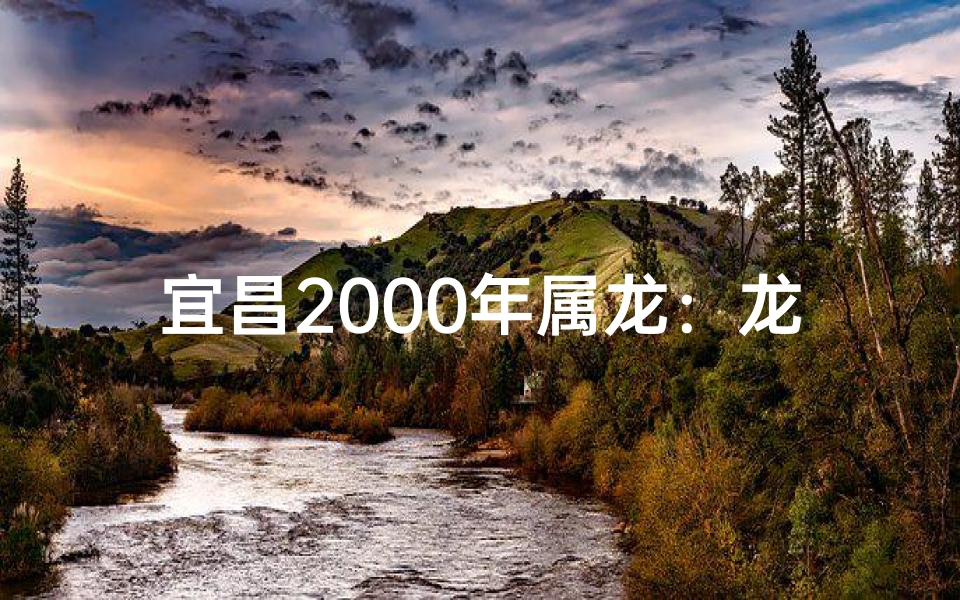 宜昌2000年属龙:龙腾盛世,辉煌宜昌二十年