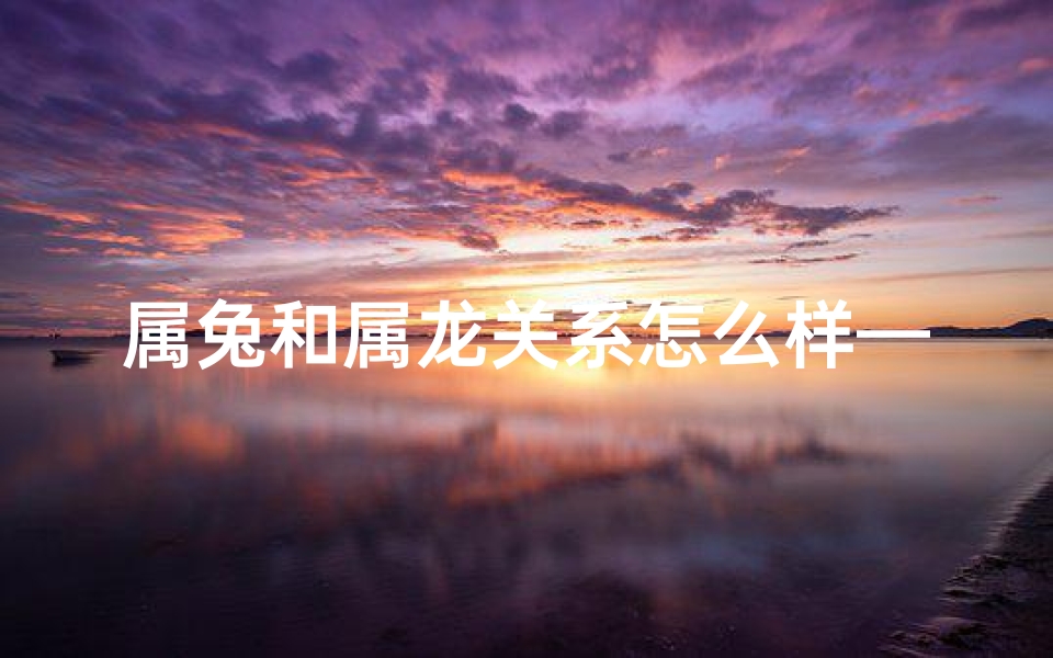属兔和属龙关系怎么样—属兔属龙性格差异大揭秘