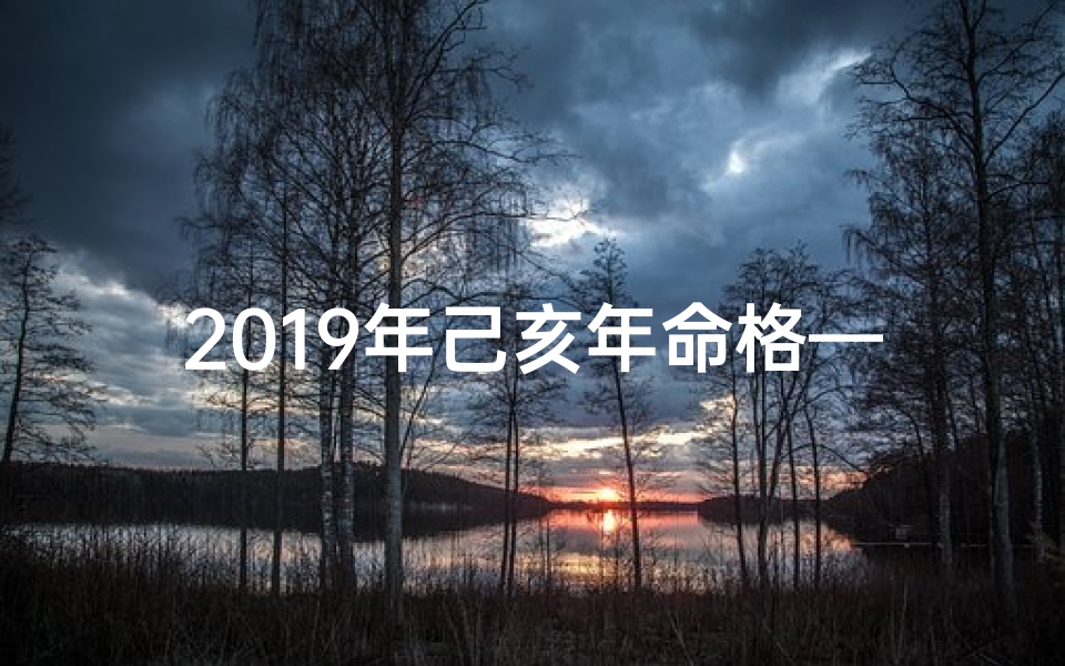 2019年己亥年命格—2019己亥年命格:运势揭秘与人生指引
