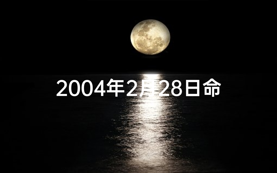2004年2月28日命格、2004年2月28日命格:揭秘命运转折点
