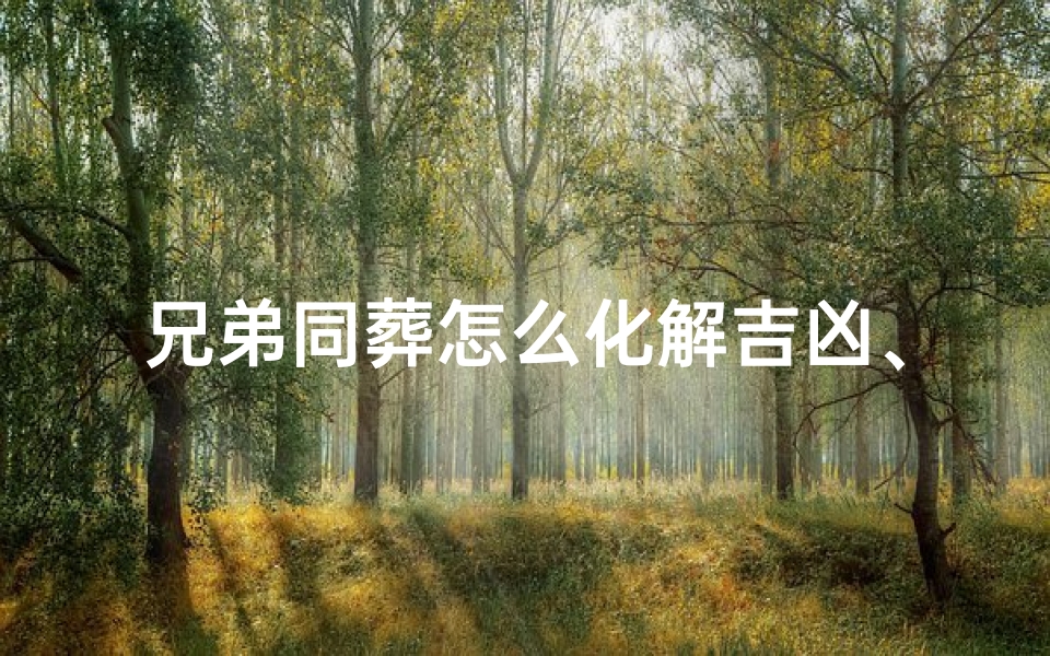 兄弟同葬怎么化解吉凶、兄弟安葬顺序