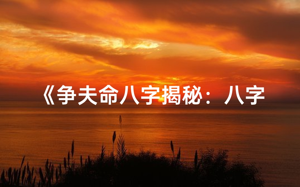 《争夫命八字揭秘:八字中的命运密码》