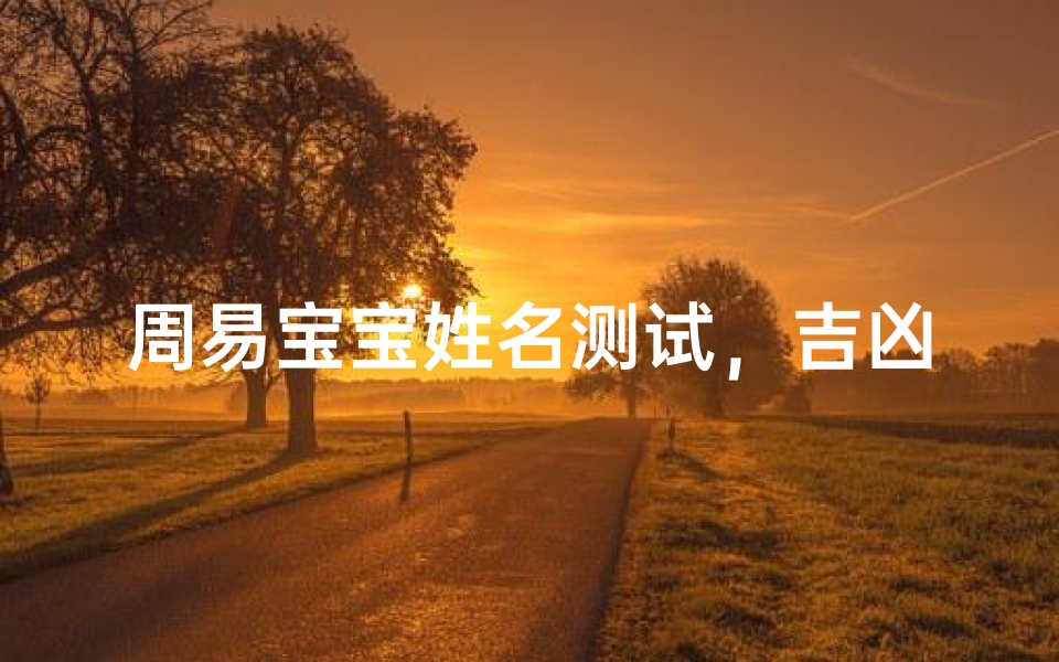 周易宝宝姓名测试,吉凶揭秘