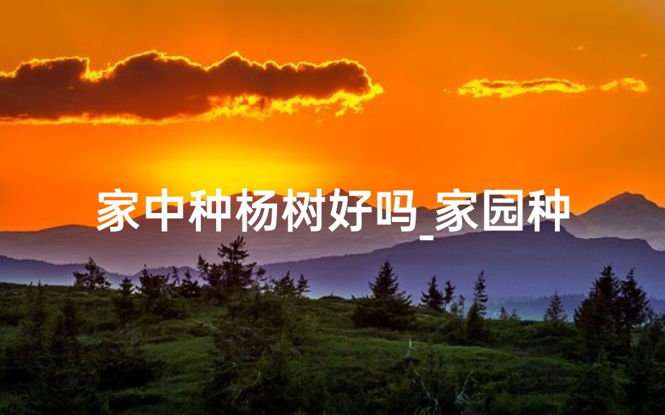 家中种杨树好吗_家园种杨树风水佳否?