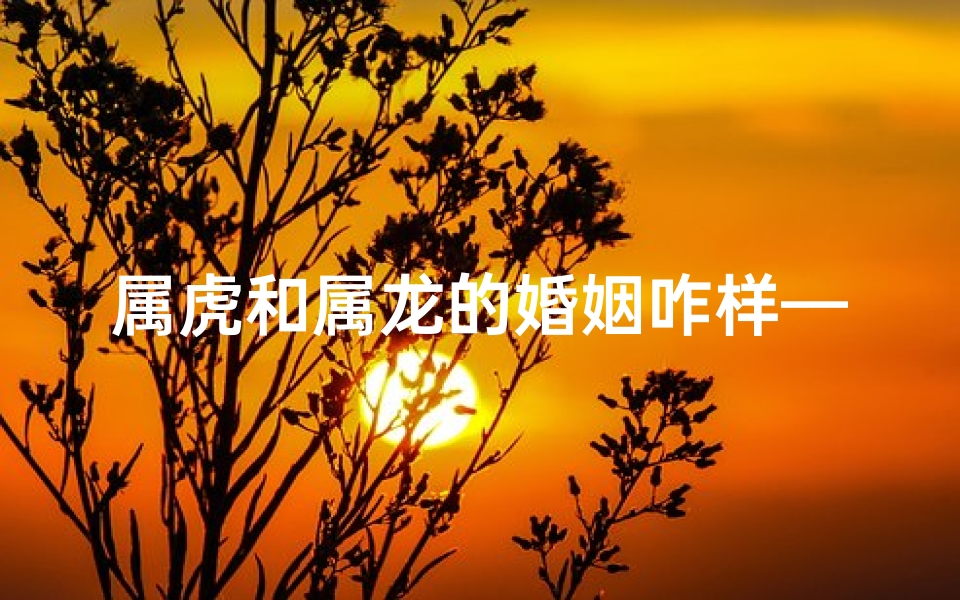 属虎和属龙的婚姻咋样—属虎属龙婚姻:幸福指数大揭秘