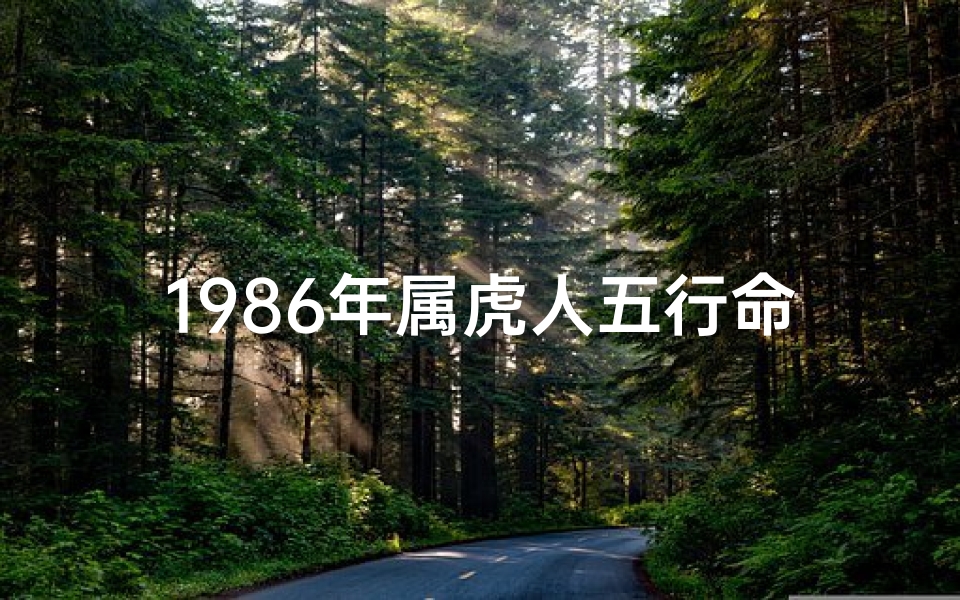 1986年属虎人五行命格揭秘:虎年生肖命运密码
