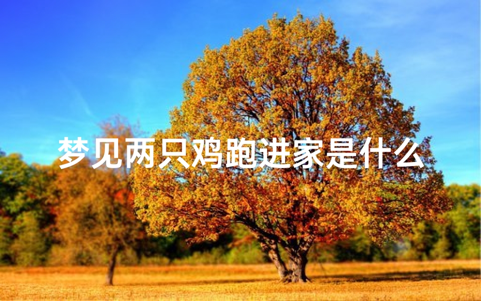 梦见两只鸡跑进家是什么预兆,梦见两只鸡跑进家是什么预兆呢