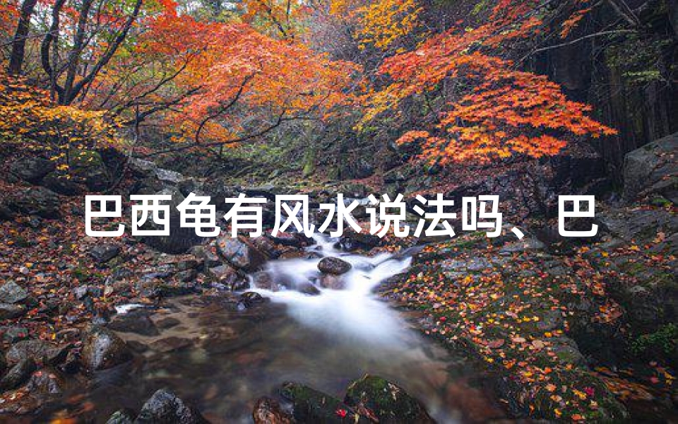 巴西龟有风水说法吗、巴西龟风水之谜:真的有说法吗?