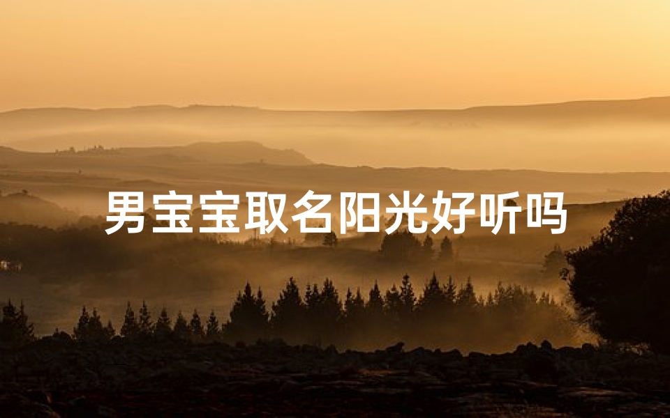 男宝宝取名阳光好听吗