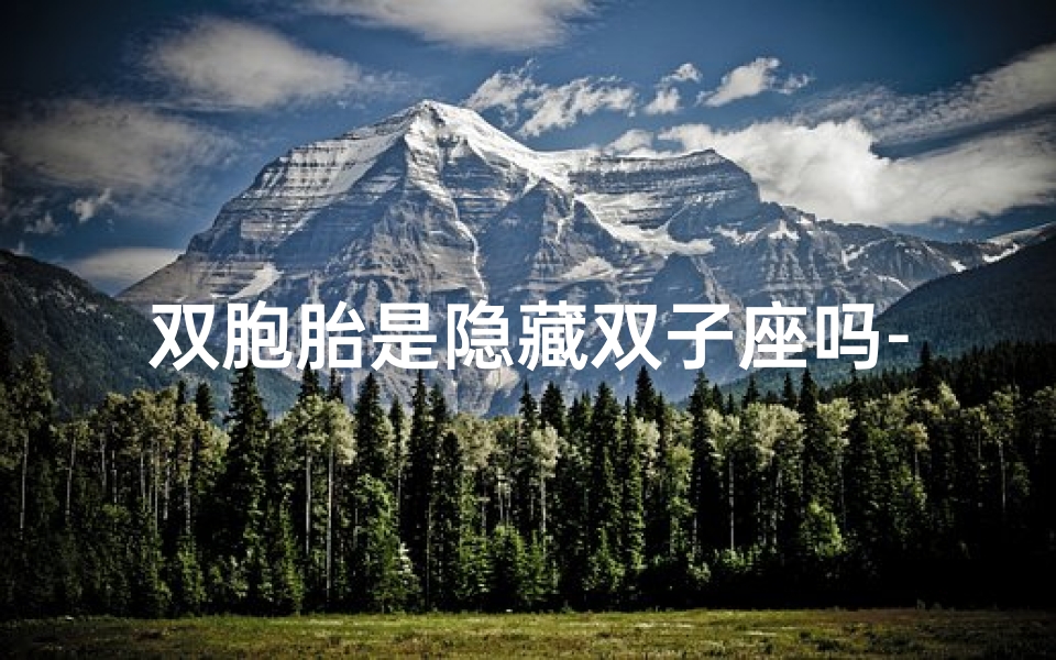 双胞胎是隐藏双子座吗-双胞胎:隐藏的双子座之谜