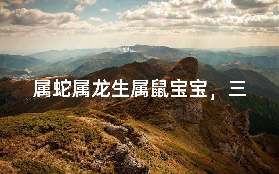 属蛇属龙生属鼠宝宝,三合之喜喜洋洋