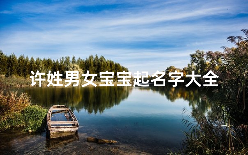 许姓男女宝宝起名字大全
