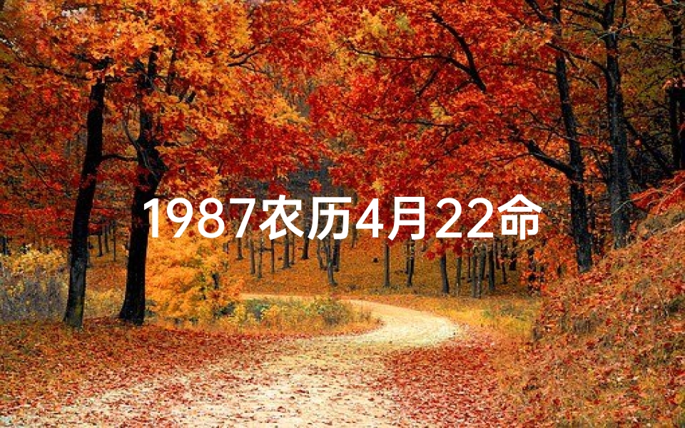 1987农历4月22命格_《1987年农历4月22日命格:揭秘命运之谜》