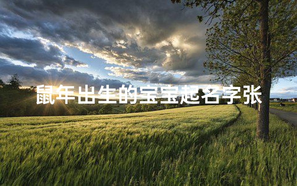 鼠年出生的宝宝起名字张姓-张姓鼠年宝宝,吉祥如意好名字