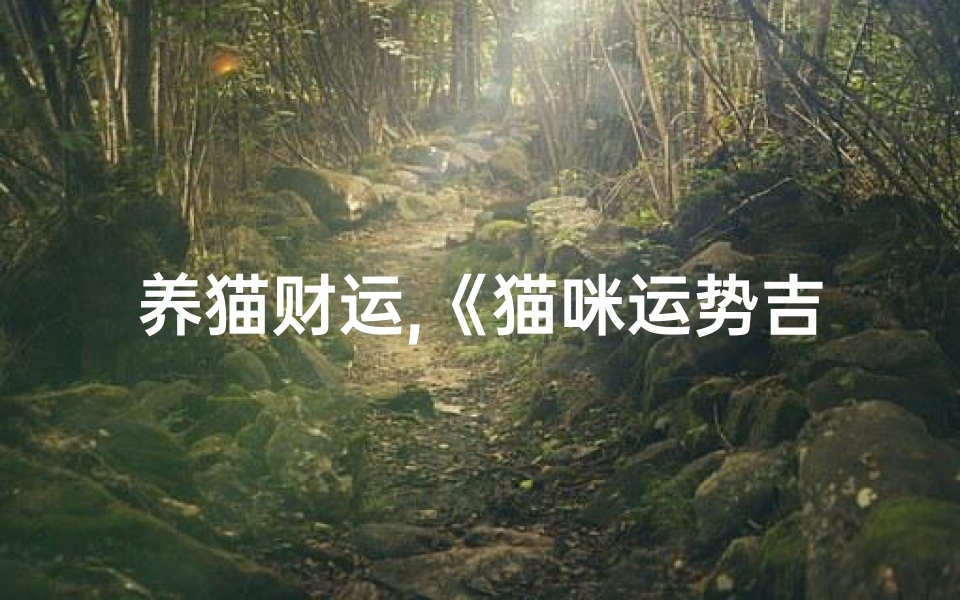 养猫财运,《猫咪运势吉凶一测,养猫前必看》