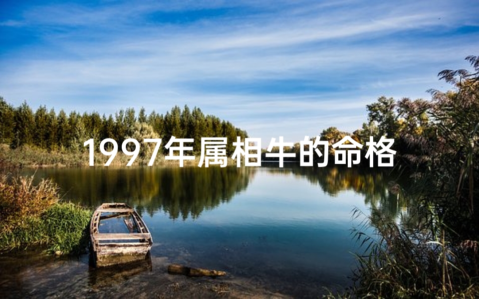 1997年属相牛的命格—1997属牛啥命