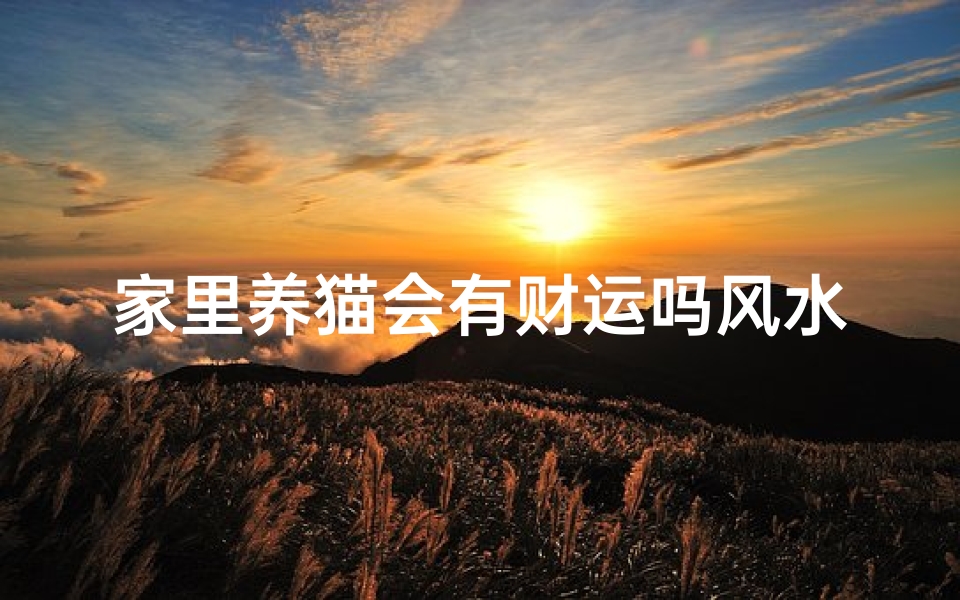 家里养猫会有财运吗风水(家里养猫吉利吗?)