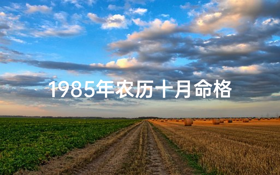 1985年农历十月命格_《1985年农历十月命格:揭秘命运转折点》