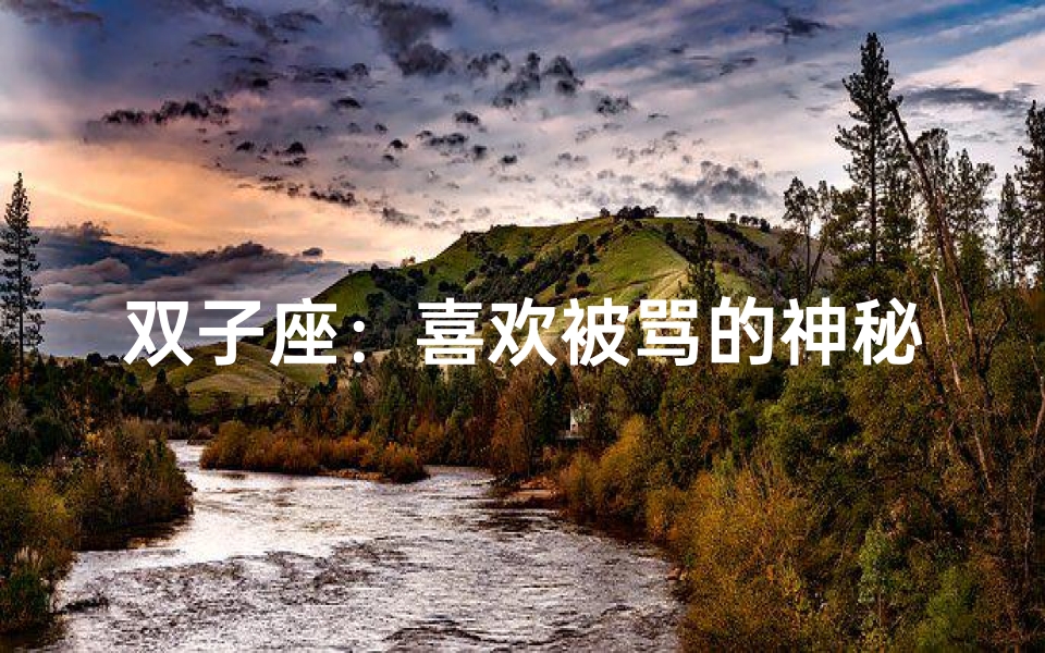 双子座:喜欢被骂的神秘心理之谜