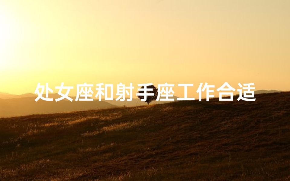 处女座和射手座工作合适吗,处女座与射手座:工作搭配是否和谐?