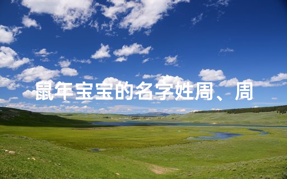 鼠年宝宝的名字姓周、周家鼠年宝宝,吉祥如意迎新春