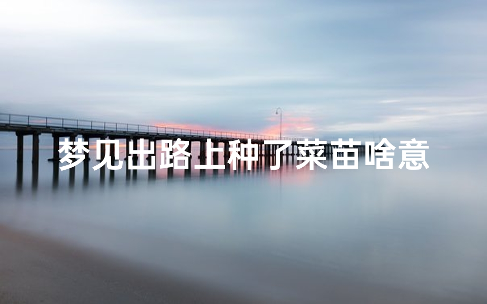 梦见出路上种了菜苗啥意思;梦见马路上种菜