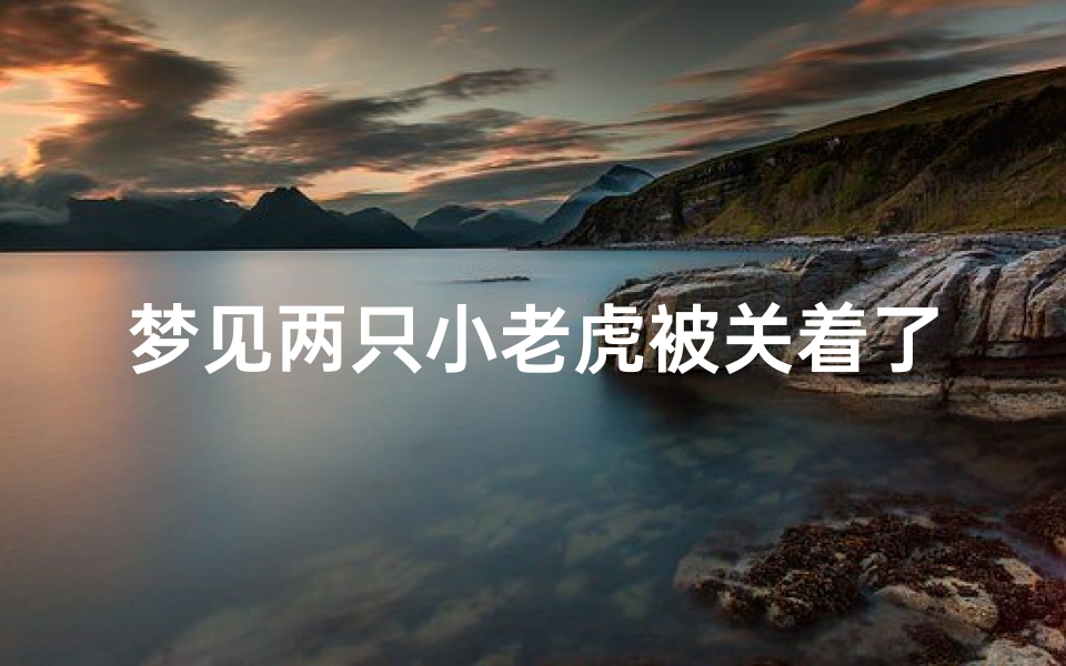 梦见两只小老虎被关着了-梦见老虎被关起来