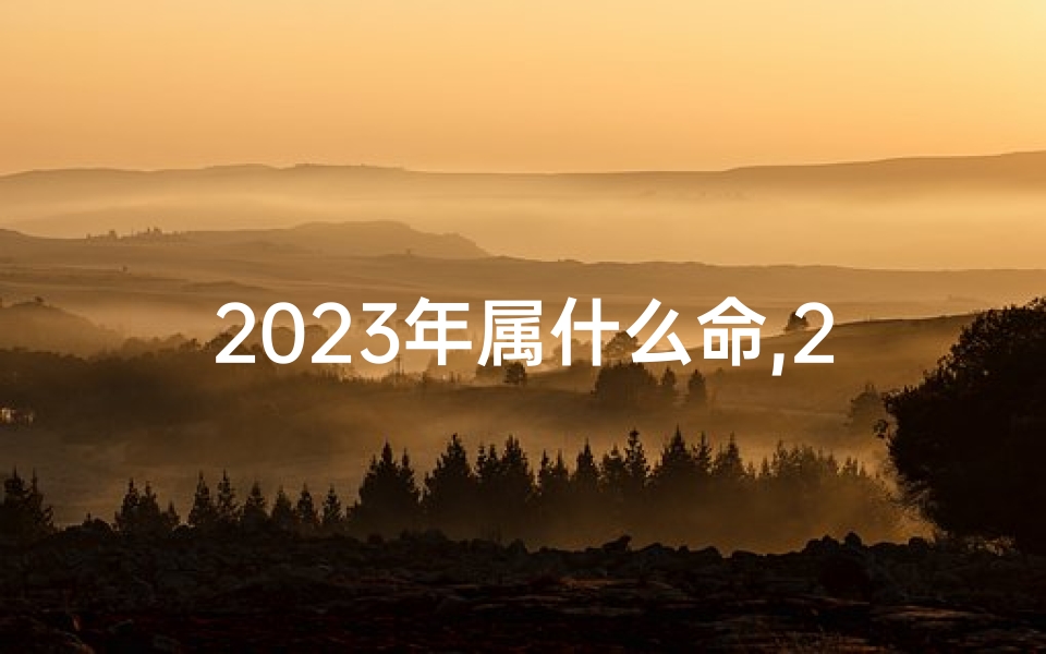 2023年属什么命,2023年命格揭秘:新运势新起点