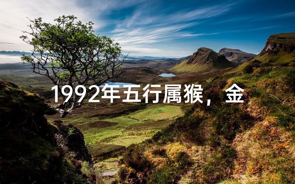 1992年五行属猴,金命格:金猴展翅,财运亨通