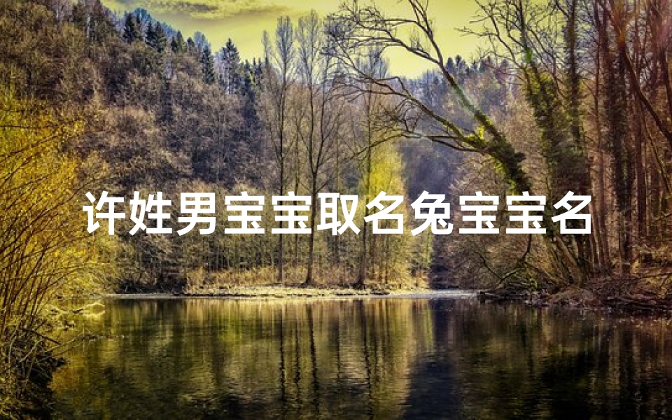 许姓男宝宝取名兔宝宝名字_许姓男宝宝取名兔宝宝名字怎么取